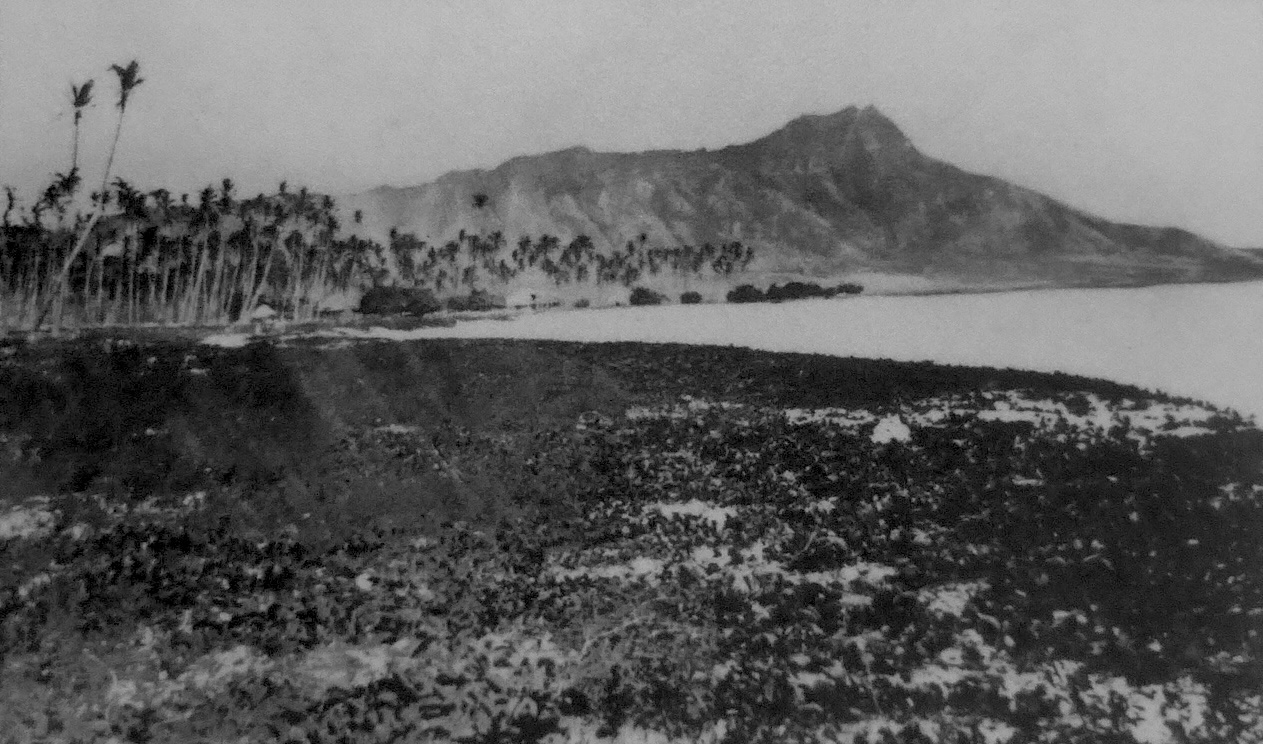 Honolulu 1873